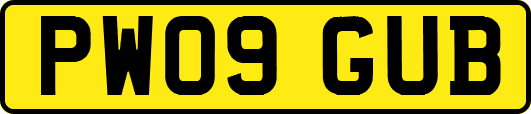 PW09GUB