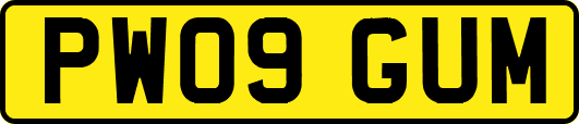 PW09GUM