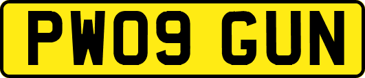 PW09GUN
