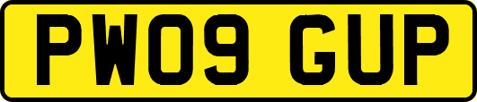 PW09GUP