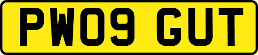 PW09GUT