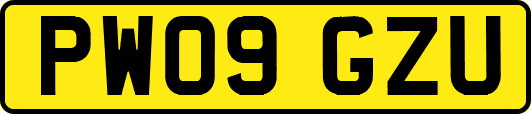 PW09GZU