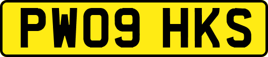 PW09HKS