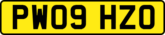 PW09HZO