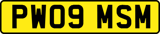 PW09MSM