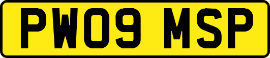 PW09MSP