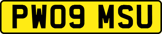 PW09MSU