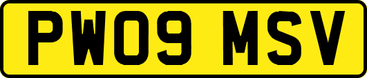 PW09MSV