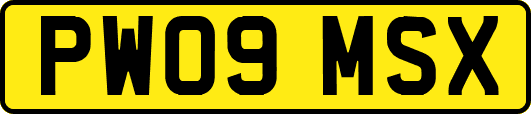 PW09MSX