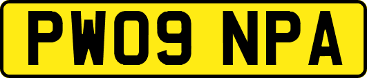 PW09NPA