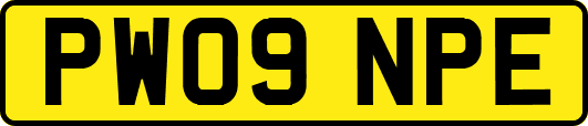 PW09NPE