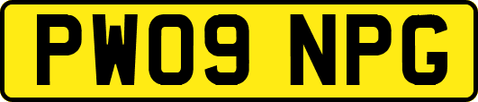 PW09NPG