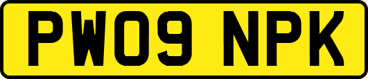PW09NPK