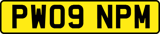 PW09NPM