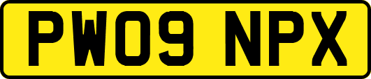 PW09NPX