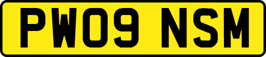 PW09NSM