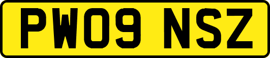 PW09NSZ