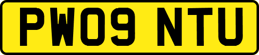 PW09NTU