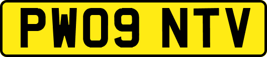 PW09NTV
