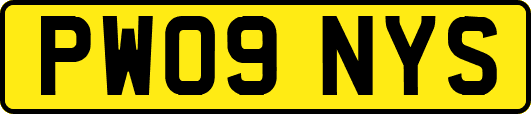 PW09NYS