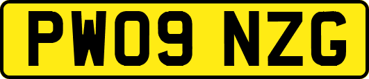 PW09NZG