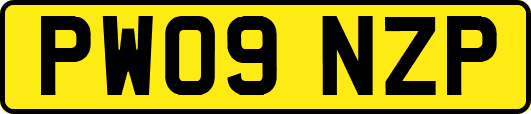 PW09NZP
