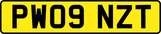 PW09NZT