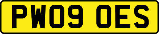 PW09OES