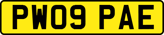 PW09PAE