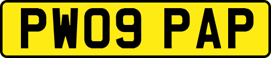 PW09PAP