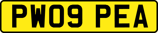 PW09PEA