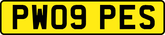 PW09PES