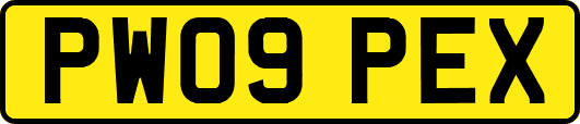 PW09PEX