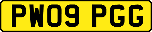 PW09PGG