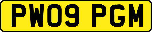 PW09PGM