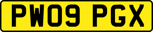 PW09PGX