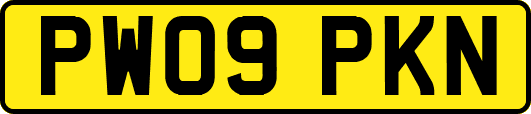 PW09PKN