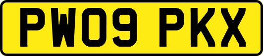 PW09PKX