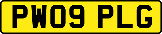 PW09PLG