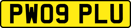 PW09PLU