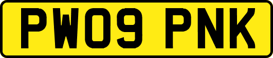 PW09PNK