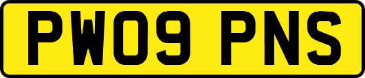 PW09PNS