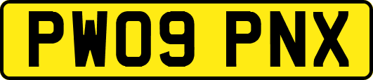 PW09PNX