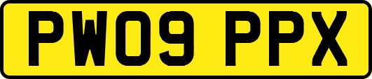 PW09PPX