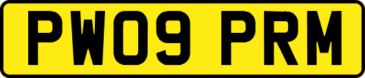 PW09PRM