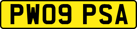 PW09PSA