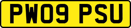 PW09PSU