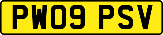 PW09PSV