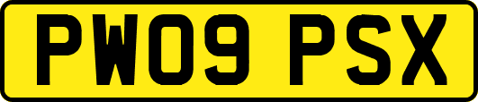 PW09PSX