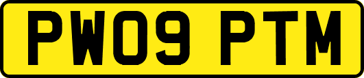 PW09PTM